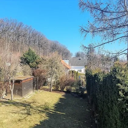 Traumhaftes Einfamilienhaus in Ruhelage - mit Indoor-Pool - Bild 2