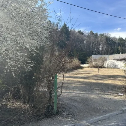 Baugrund am Waldrand mit traumhafter Fernsicht zu verkaufen - Bild 2