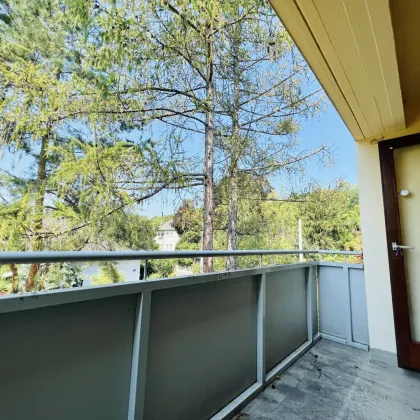 Sanierungsbedürftig light - Abendsonne auf der Loggia - Grüner Weitblick - Ruhelage - gute Raumaufteilung - Top Infrastruktur - Bild 2