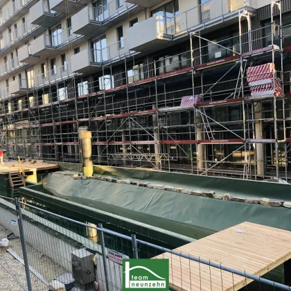 Lichtdurchflutete Ateliers mit eigener privater Terrasse! Schwimmbiotop, Dachterrasse, Seeblick! Nahe U2 Station - jetzt anfragen! - Bild 3