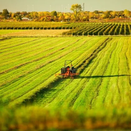 0,4 ha landw. Fläche nahe der Weingärten in Stammersdorf ++ - Bild 2