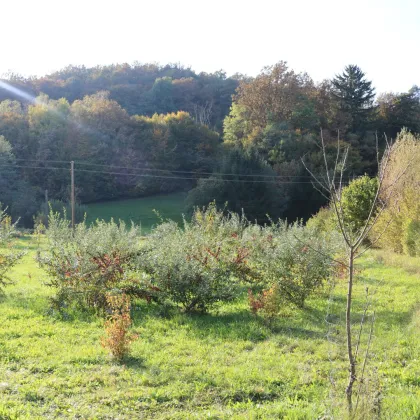 Thermenregion Südburgenland: absolute Ruhelage! Ebenes, sonniges  Baugrundstück, 2684m² - Bild 3