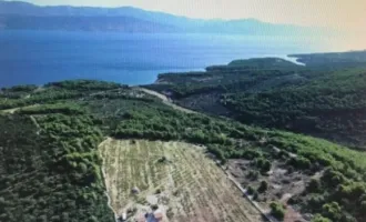 Anlage auf Brač – 34.000 m² mit Baugenehmigung