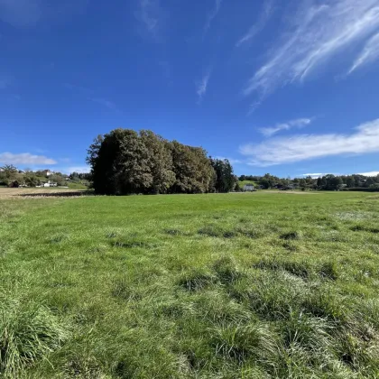 Sonniges Bauland in malerischer Landschaft - Bild 2