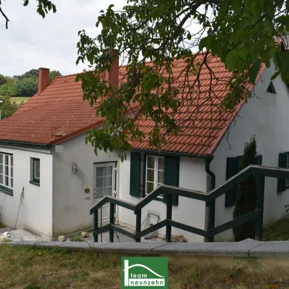 Ländliche Idylle im Burgenland: Charmantes Landhaus mit 4 Zimmern, 130 m², Garten, Terrasse, u.v.m.! - Bild 3