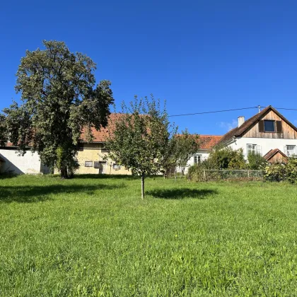 Idyllische Landwirtschaft im Grünen mit Hofstelle! - Bild 2