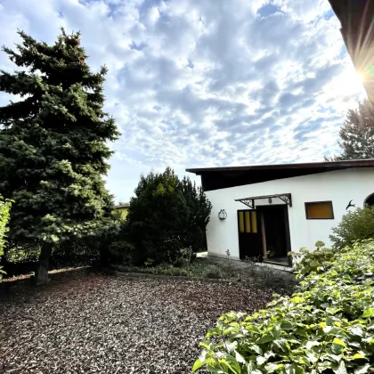 ***SOMMER-BUNGALOW AM NEUFELDERSEE - Bild 2