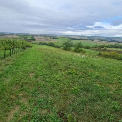 Sonniges Ackerland- Hier kann Ihr  schöner Hobbygarten entstehen - Bild 3