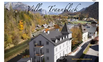 Wohnbauprojekt Villa Traunblick (Provisionsfreier Verkauf!)
