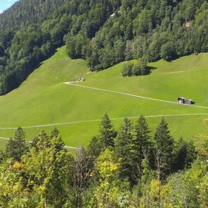 Landwirtschaftliches Liebhaber Objekt - Bild 2