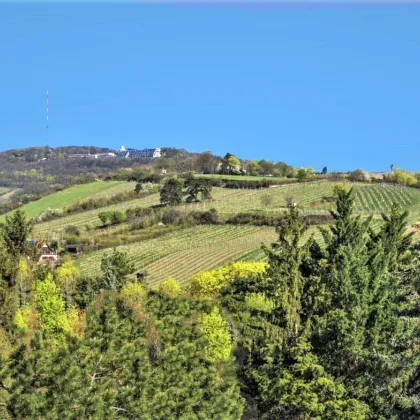 SCHREiBERWEG -  ERSTBEZUG - BJ 2022 - 4 ZIMMER  - 2 BLKONE 40m² - GRÜN + FERNBLICK - 2 BÄDER  - OPTIONAL - XL - GARAGE - - Bild 3