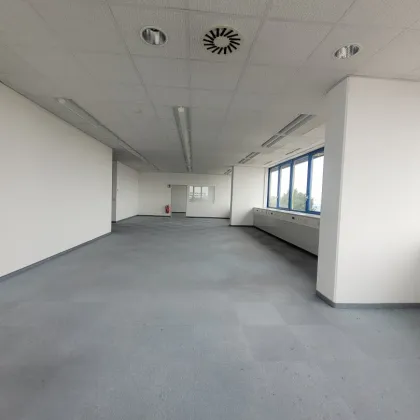 253 - PROVISIONSFREI - Helle Bürofläche (240m²) - zu mieten im IKANO OFFICE PARK 2351 Wiener Neudorf - Bild 3