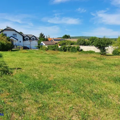 sonniger Baugrund für Einfamilienhaus - Bild 2