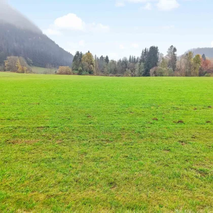 Gewerbe-Grund nahe Feldkirchen. - Flexible Größen ab 1.000 m² für ihren Standort. - Voll erschlossen. - Bild 3