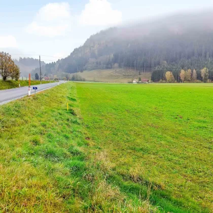 Gewerbe-Grund nahe Feldkirchen. - Flexible Größen ab 1.000 m² für ihren Standort. - Voll erschlossen. - Bild 2