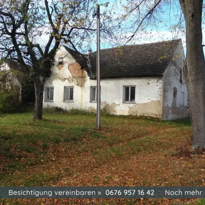Sanierungsbedürftiges Bauernhaus mit Scheune - Nähe Heidenreichstein - Bild 2