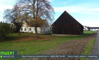 Sanierungsbedürftiges Bauernhaus mit Scheune - Nähe Heidenreichstein