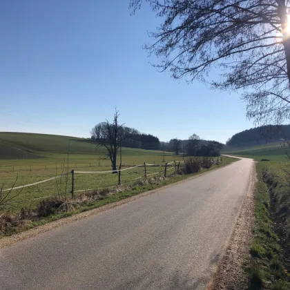 landwirtschaftliche Nutzfläche, Ackerfläche in Renetsham nahe Ried im Innkreis zu verkaufen - Bild 3