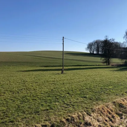 landwirtschaftliche Nutzfläche, Ackerfläche in Renetsham nahe Ried im Innkreis zu verkaufen - Bild 2