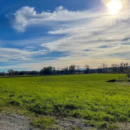 Voll aufgeschlossenes Baugrundstück in Traumlage - ca. 1.300 m² in Pfaffstätt bei Mattighofen - Bild 3