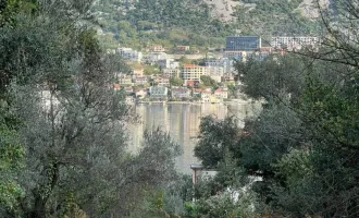 Grundstücksfläche von 3000m2 in der Bucht von Kotor.