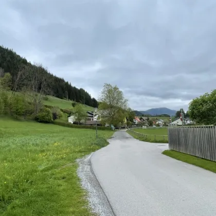 NEUBERG AN DER MÜRZ/SCHENKFELD - ZENTRAL GELEGENE BAURECHTSGRÜNDE - Bild 2