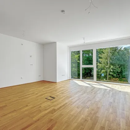 1-Zimmer Wohnung mit großer Fensterfront | 34,44 m² Wohnfläche | Wien Floridsdorf - Bild 2