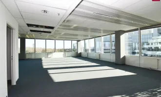 Moderne Bürofläche 350 m2 in 1220 Wien bei UNO City zu mieten