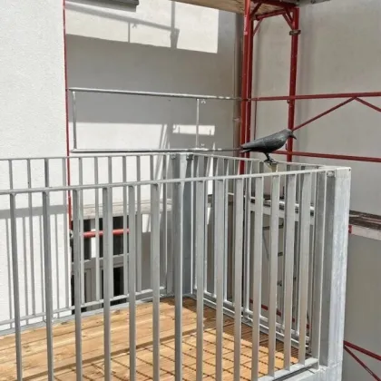 Erstbezug nach Sanierung - Kurzzeitvermietung (Airbnb möglich) attraktive Altbau-Wohnung mit Balkon! - Bild 3