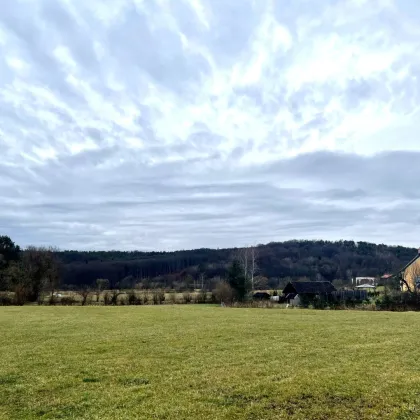 ++ DORF - LEBEN  ++  Reinersdorf - großes Baugrundstück in beschaulicher Ortslage mit schönem Blick auf die Dorfidylle. - Bild 3