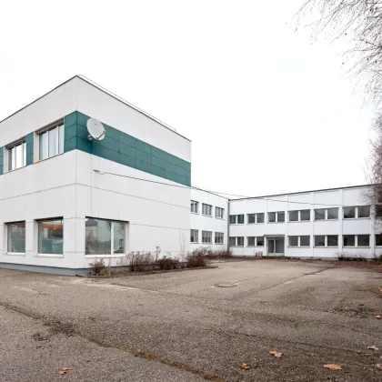 Großes Büro in Dietach - Bild 2