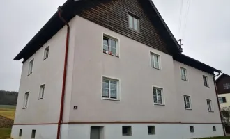 Anlageobjekt mit sechs Wohnungen, Nähe Oberwart/Güssing