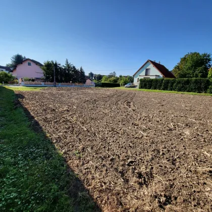 Herrliche Landidylle im wunderschönen Weinviertel! - Bild 3