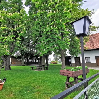 Ebenes 3.900m² Bauland mit beeindruckender Fernsicht, teilsaniertem Altbestand und Wirtschaftsgebäude. - Bild 3