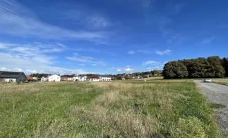 FLACHDACH: Erbauen Sie sich Ihr Traumhaus in malerischer Landschaft