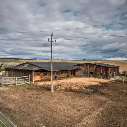 ++ RARITÄT ++  Die eigene Ranch auf knapp 10 hektar Grund und 600 m2 Stallgebäude in absoluter Traumlage - Bild 3