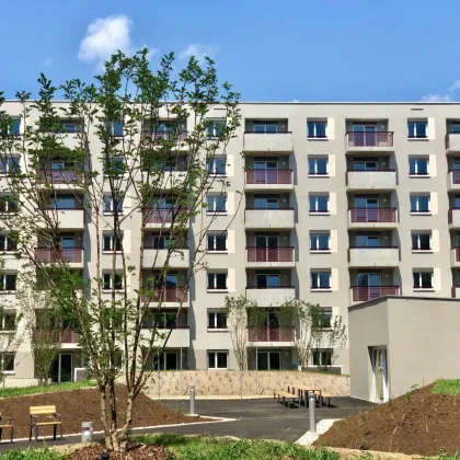 unbefristete 2-Zimmer-Wohnung mit großer Terrasse - Bild 3