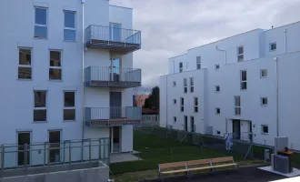 moderne und unbefristete 2-Zimmer-Wohnung mit Terrasse und großem Garten