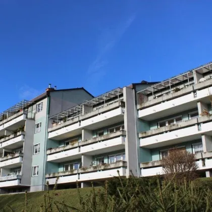 geräumige und unbefristete 3-Zimmer-Wohnung mit Loggia - Bild 2