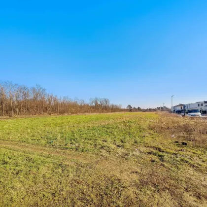 Wohn-Baugrund in Strasshof.- 15. Min zur Stadtgrenze Wien. - Ideal für Familien. - Ruhige und naturnahe Wohnlage. - Bild 2