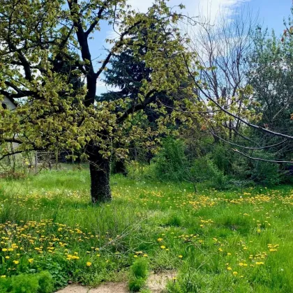 Grundstück in ruhiger Siedlungslage - Bild 3