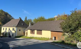 Haus mit Schuppen und Wildkräutergarten