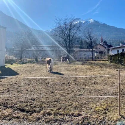 Wunderschön gelegenes, sonniges Baugrundstück für Ihr Einfamilien- oder Doppelhaus in Flaurling - Bild 2