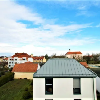 Neubau-Haus mit Westgarten in Vösendorf - Bild 2