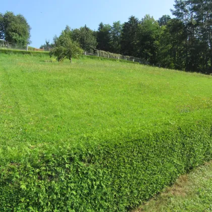 sonniges Grundstück 1415 m² mit wunderschönen Fernblick in Eibiswald - Bild 2