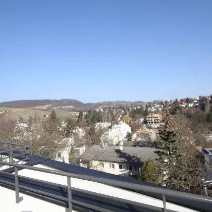 Großzügige Terrassenwohnung mit Grün- und Stadtblick in Neustift am Walde! - Bild 2