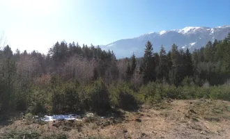 Einzigartige Grundstücke in einer neuen Siedlung direkt am Wald in Seeboden. Lurnbichl.