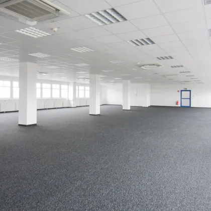 Büro 550 m2 südlich von Wien in Wr. Neudorf - Bild 3