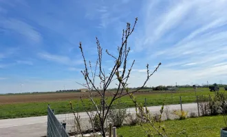 Sonnige Dreizimmerwohnung mit Feldblick nahe Zentrum - 83 m²