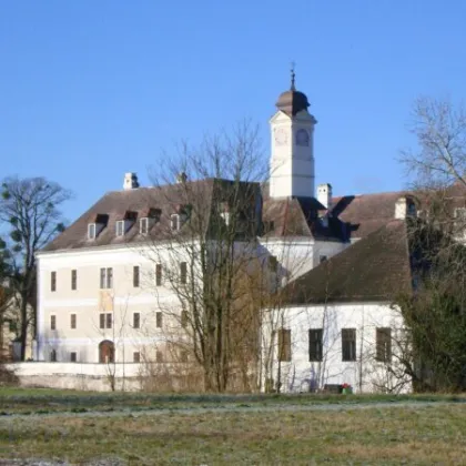 Herrschaftliches Wohnen im Schloss 3 Zimmer Wohnung 155 m² Warmmiete - Bild 3